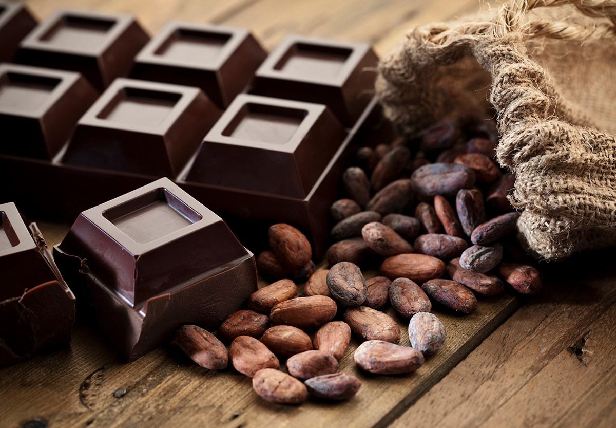 Bitter chocolate — 8 facts about the benefits and harm to the body's health, composition and rules of use