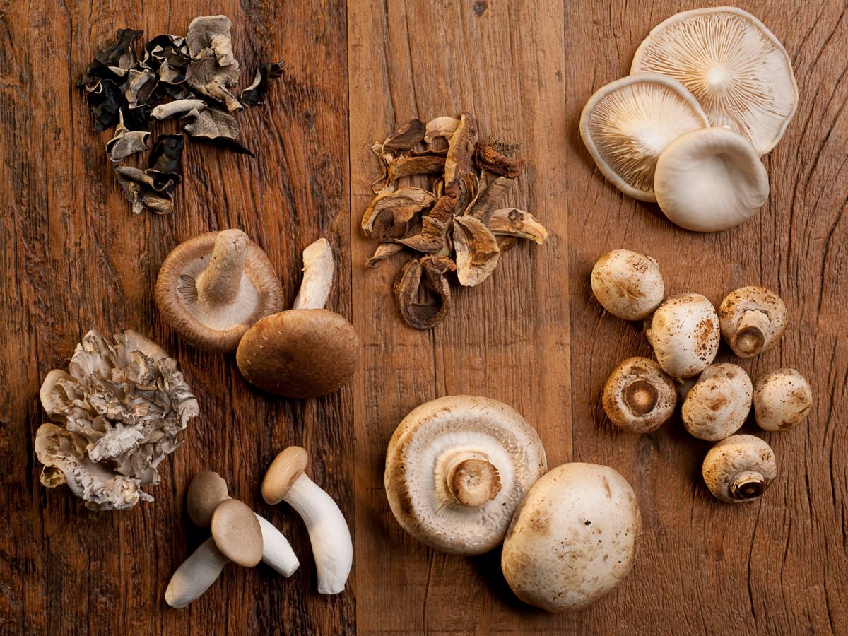 The benefits and harms of mushrooms — 5 proven properties for humans, as well as tips for cooking and taking