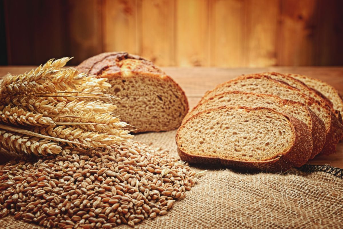 The benefits and harms of rye — 6 proven properties of cereals for our body