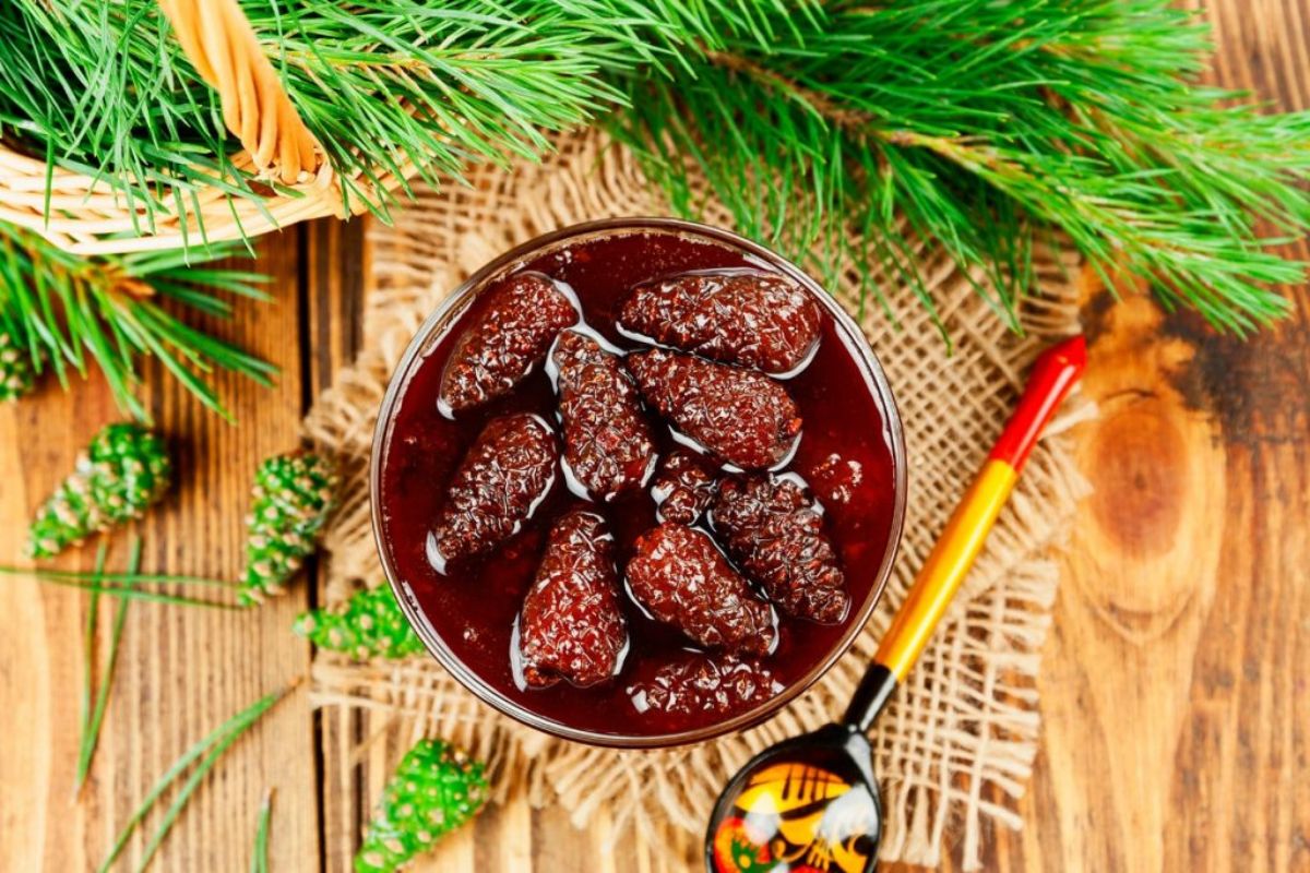 Pine cone jam – 5 facts about the benefits and contraindications, cooking recipe