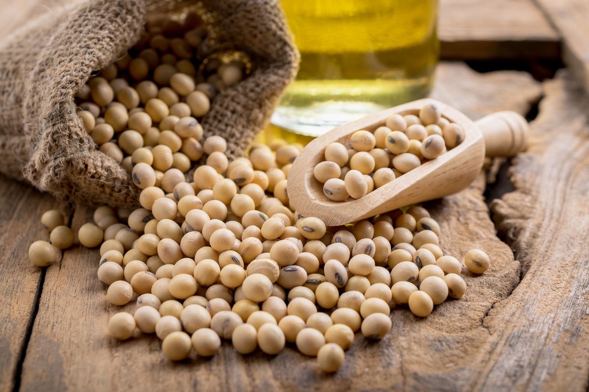 The benefits and harms of soy — 9 facts about its impact on human health