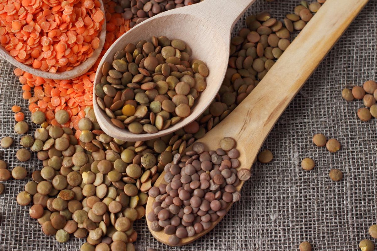 The benefits and harms of lentils — 10 properties for the health of the body, as well as contraindications and cooking tips