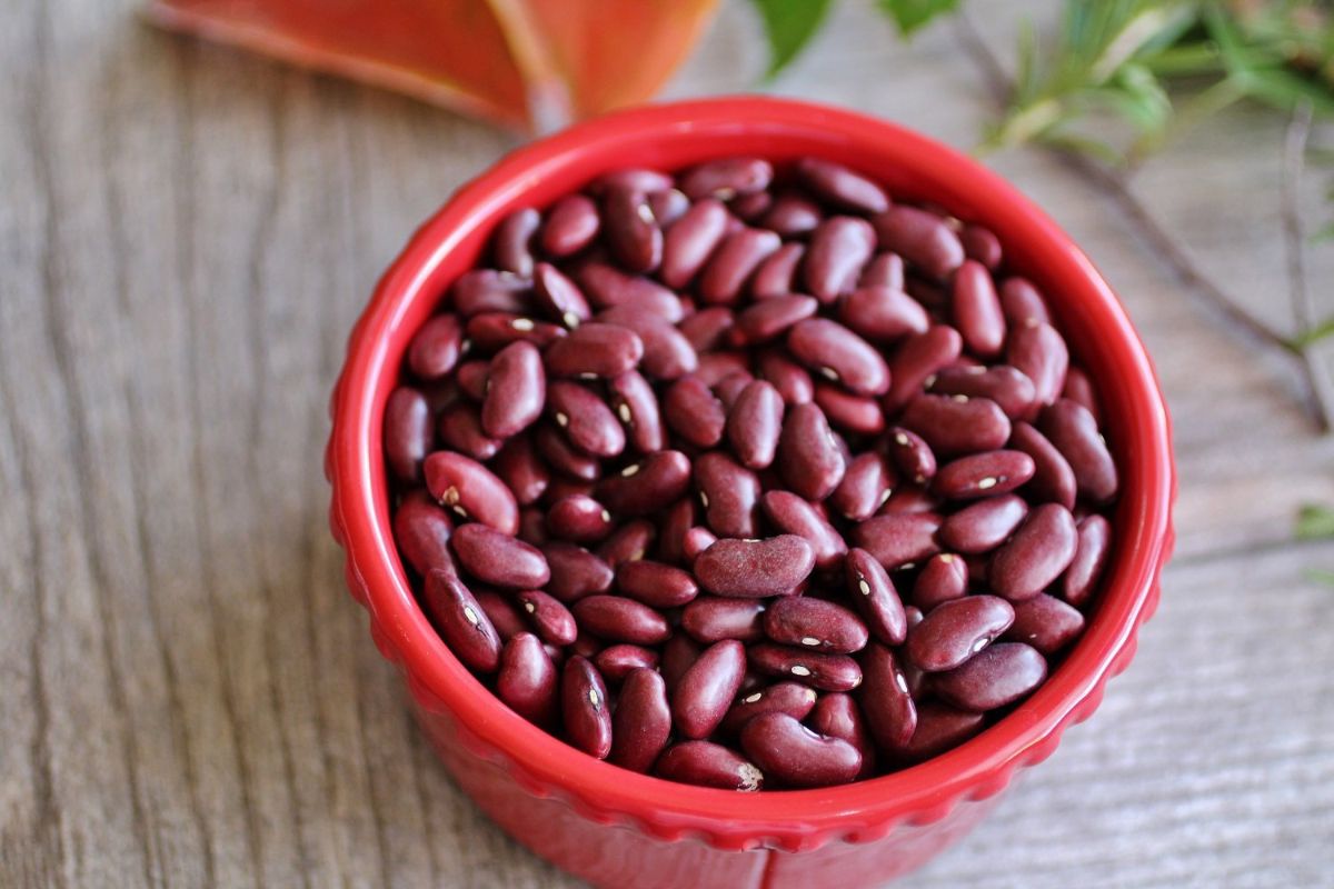 The benefits and harms of beans — 6 properties for the health of the body, as well as contraindications and dangers