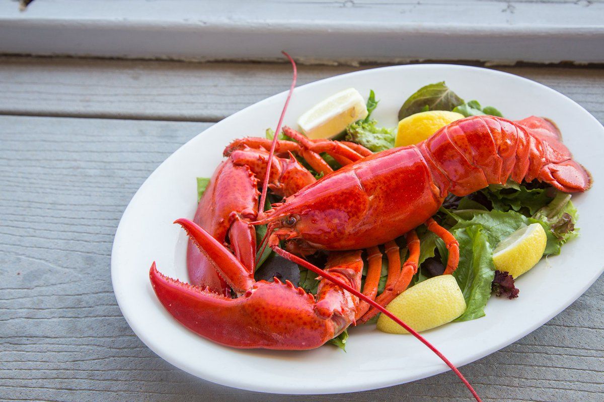 The benefits and harms of lobsters — 6 theses on their effect on the human body