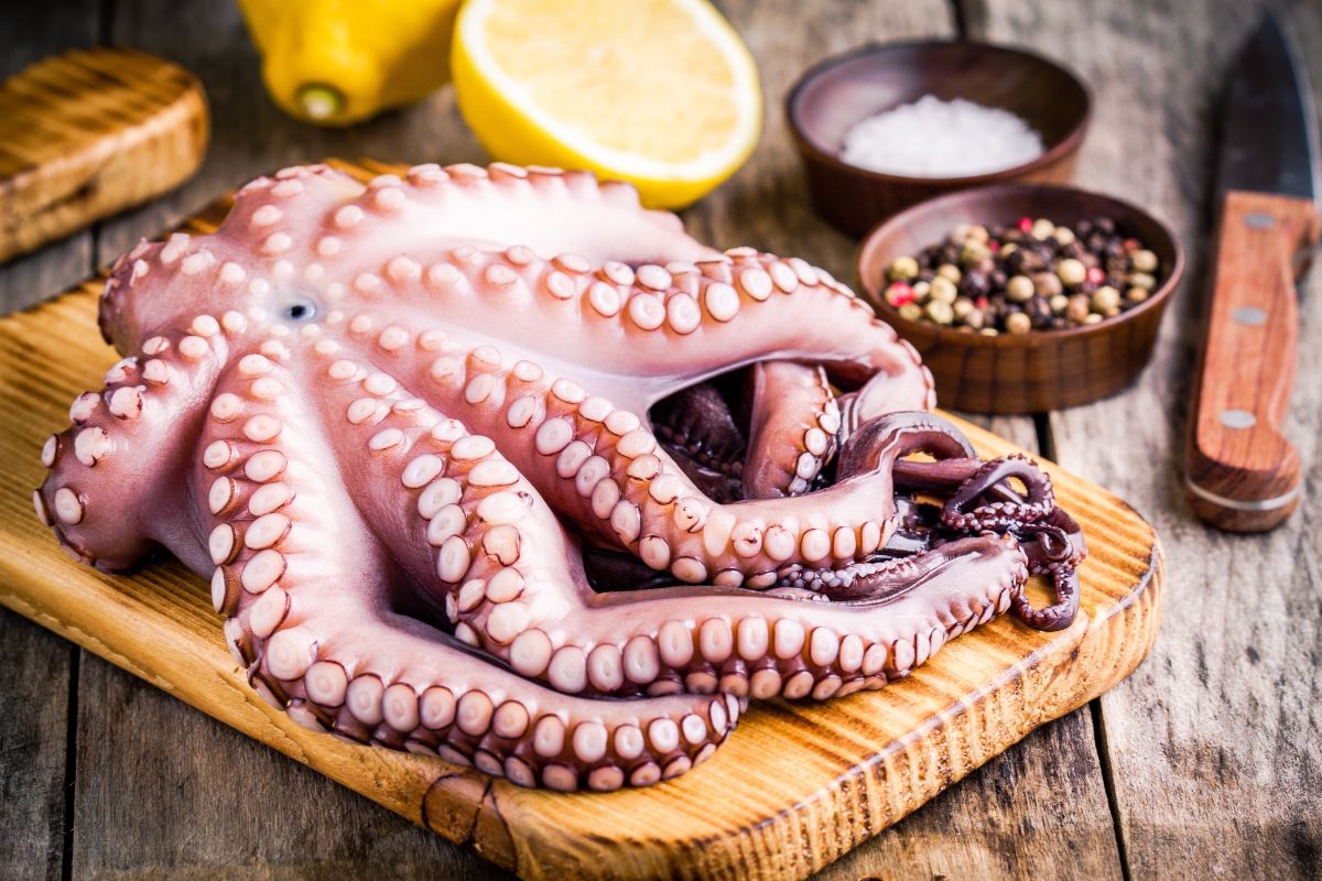 The benefits and harms of octopuses — 6 facts about their effect on the human body, as well as contraindications