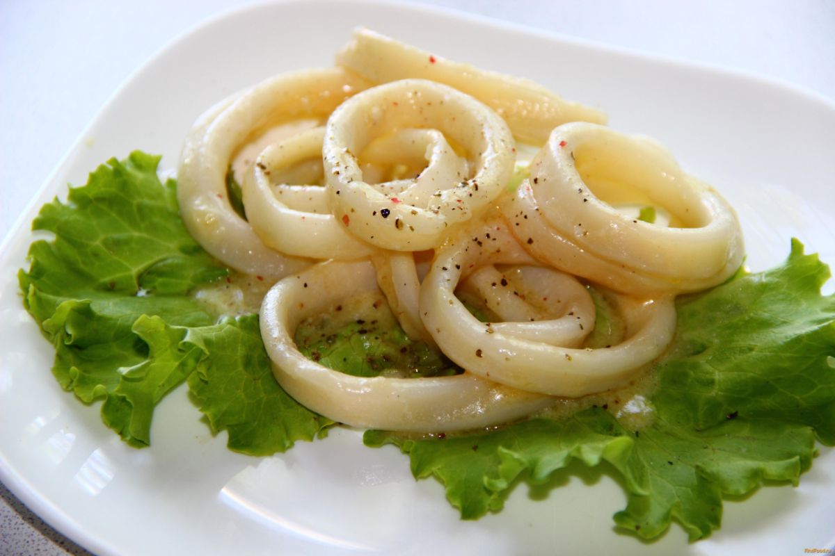 The benefits of squid are 7 proven properties for the health of the body, as well as harm and contraindications