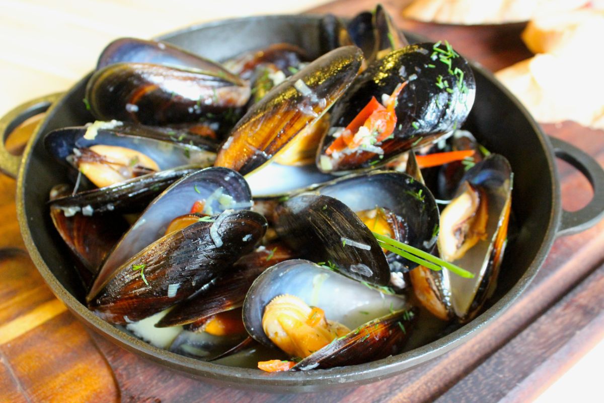 The benefits of mussels — 8 facts about their effects on the human body, as well as harm and contraindications