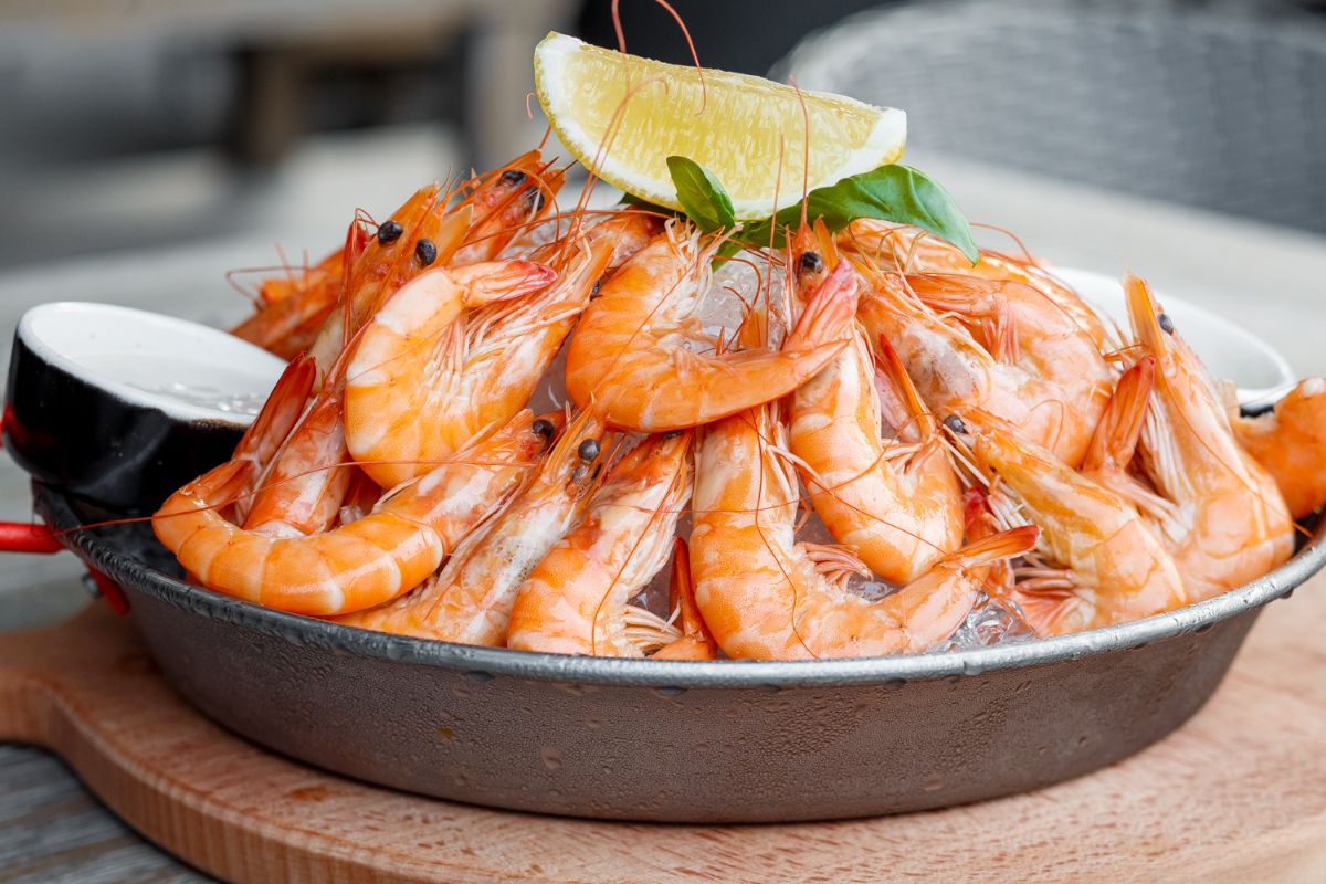 The benefits of shrimp — 5 facts about their effect on the human body, as well as harm and contraindications