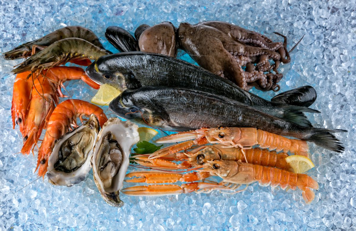 8 the most healthy seafood: which of them have the best effect on the human body