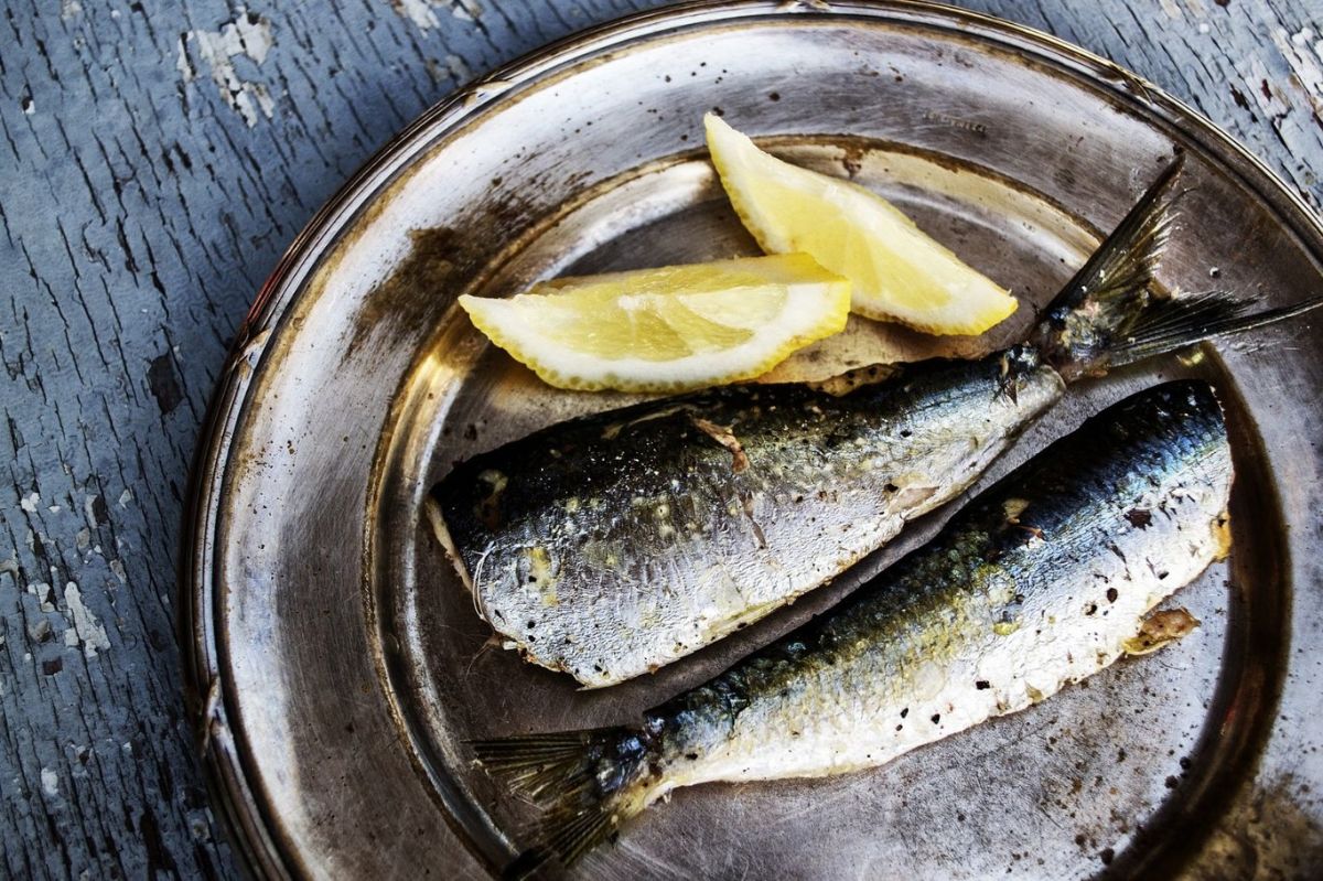 The benefits and harms of sardines — 6 properties of preserves for the health of the body