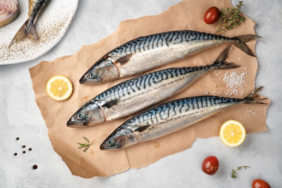 The benefits and harms of mackerel — 8 properties for the body that have been scientifically confirmed