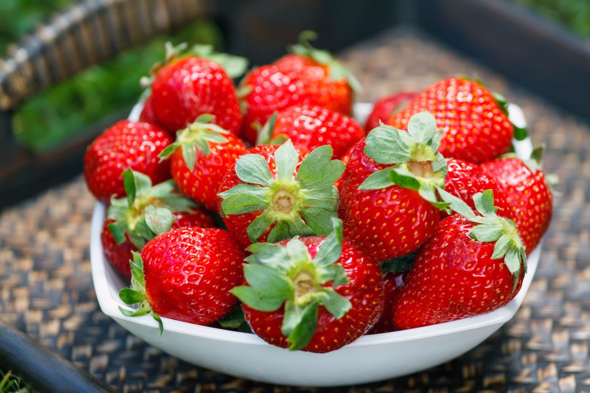 The benefits and harms of strawberries — 9 proven properties for body health, calorie content and contraindications