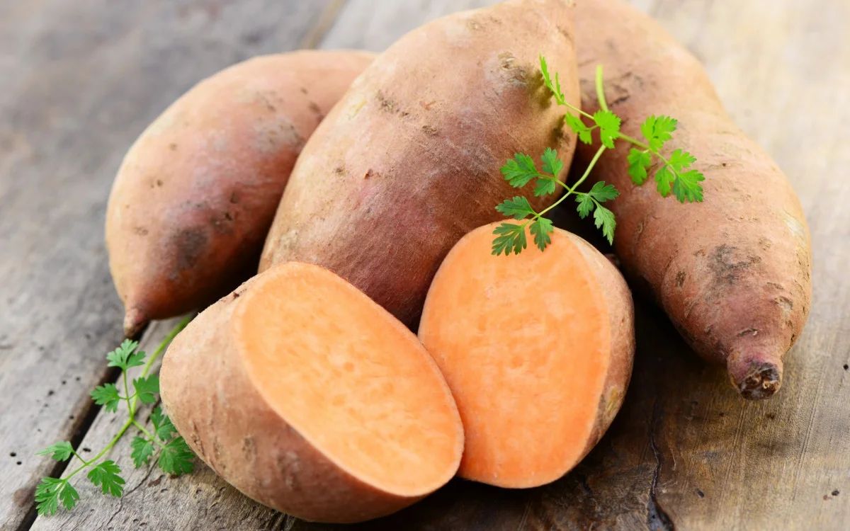 The benefits and harms of sweet potatoes — 6 proven health properties, composition and contraindications