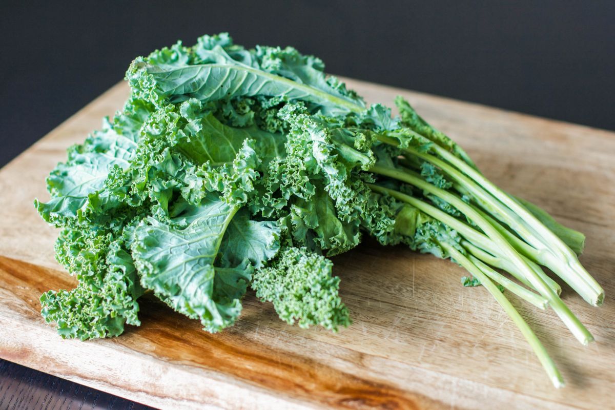 Benefits and harms of kale cabbage — 7 proven health properties of the plant