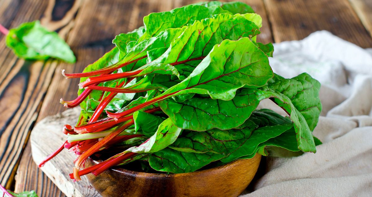 Benefits and harms of chard — 7 proven health properties, as well as the use of the plant