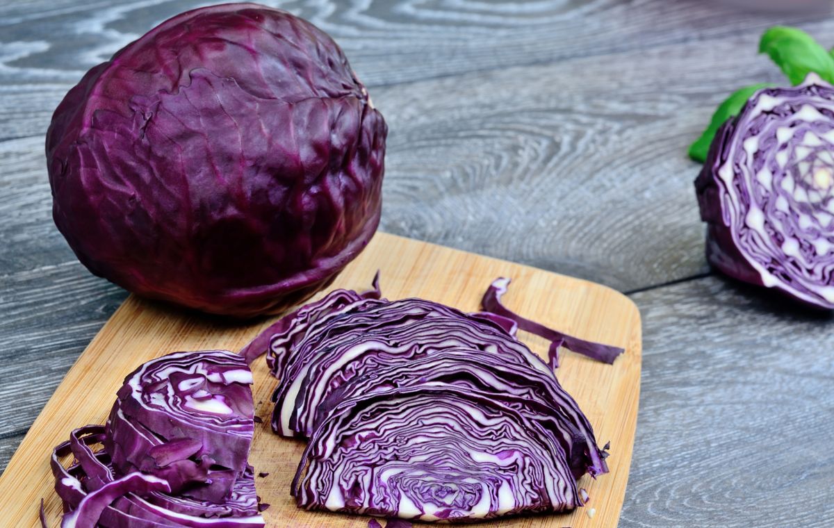 The benefits of red cabbage — 6 facts about its effect on the body