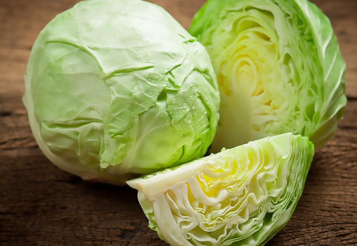 The benefits of white cabbage — 10 proven properties for the health of the body