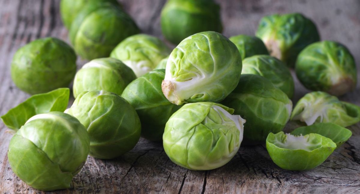 The benefits of Brussels sprouts — 8 proven properties for the body and contraindications