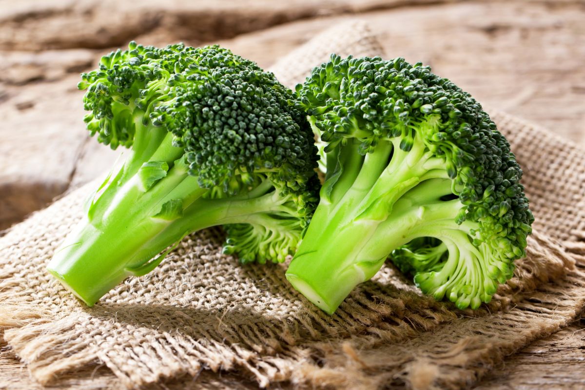 The benefits of broccoli — 13 proven properties for body health and contraindications