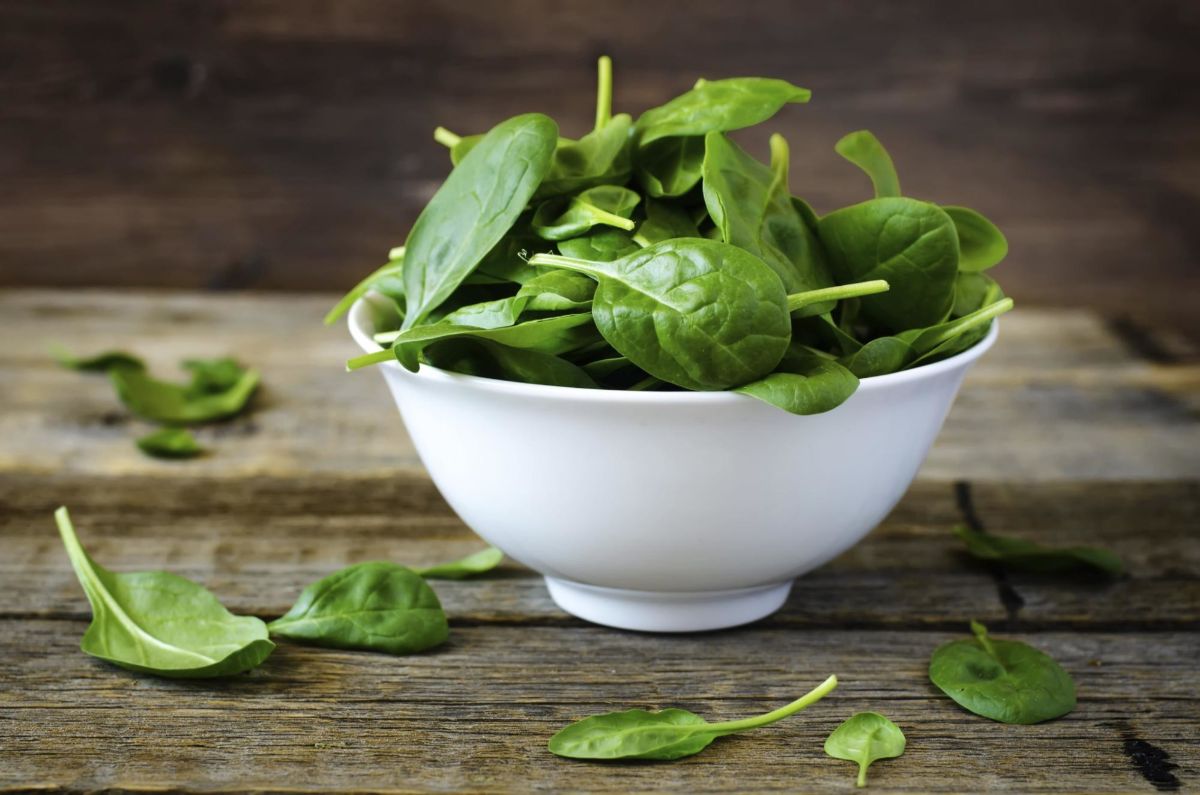 The benefits and harms of spinach — 8 proven health properties, as well as contraindications