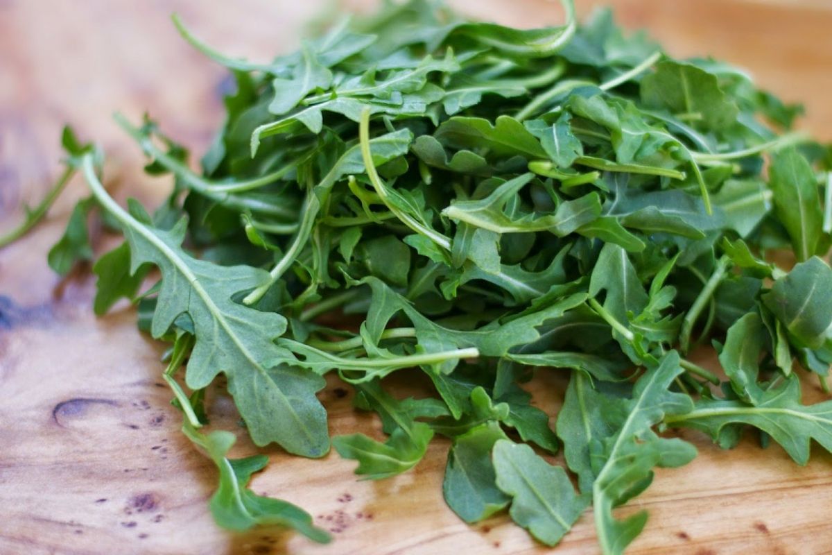 The benefits and harms of arugula — 8 facts about the effect of lettuce on body health, as well as contraindications