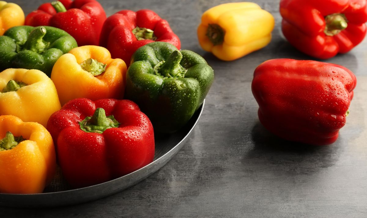 The benefits of bell pepper — 6 proven properties for the health of the body, as well as contraindications