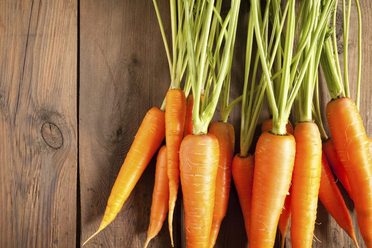 The benefits of carrots — 10 proven properties for body health