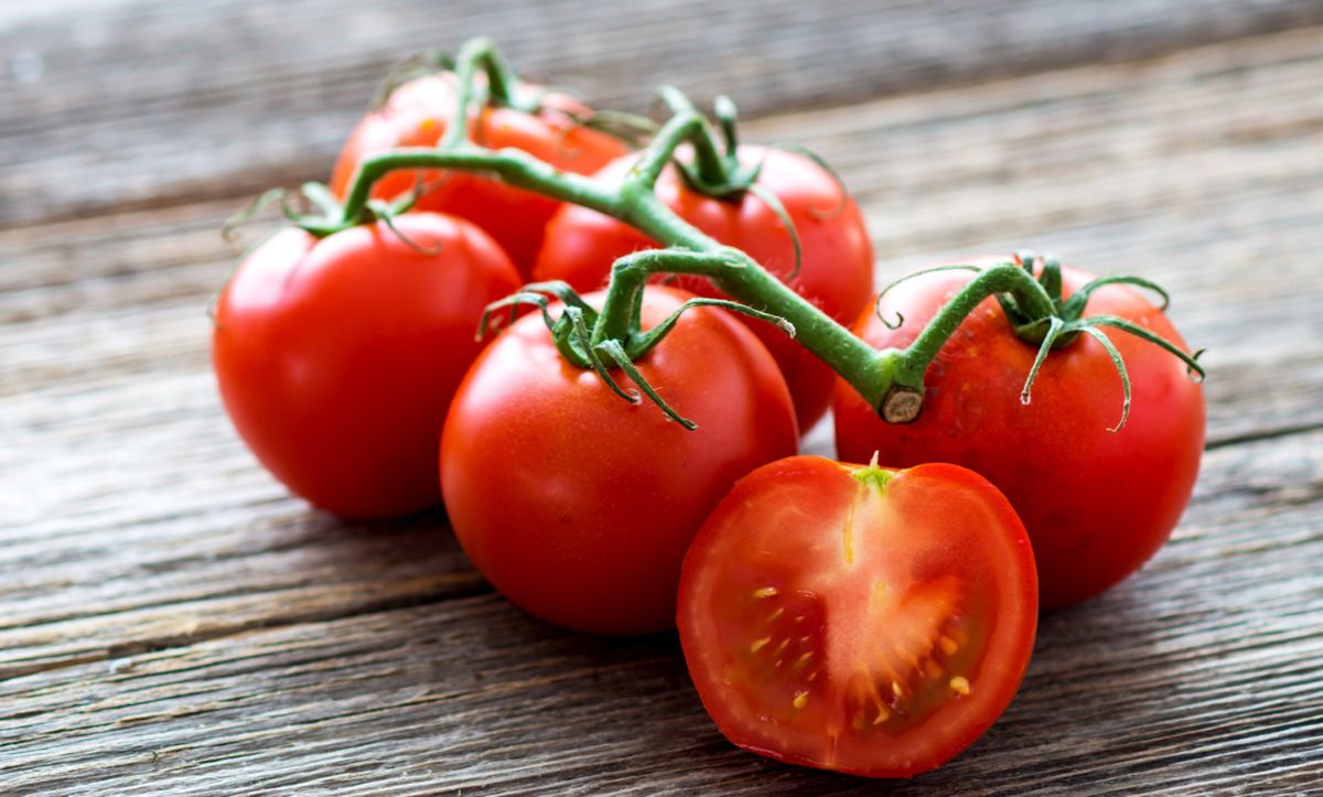 The benefits and harms of tomatoes — 10 facts about the effect on the human body, composition and contraindications