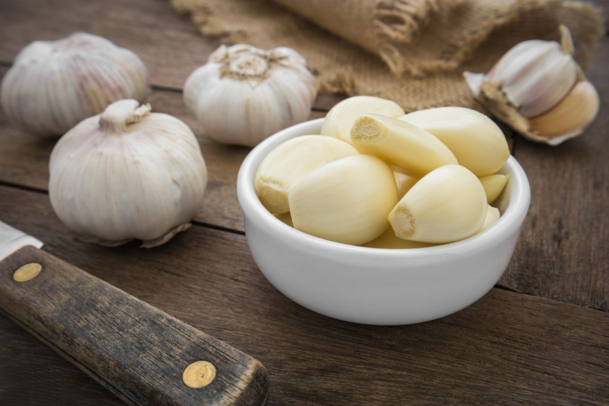 The benefits and harms of garlic for health — 10 facts about its effect on the human body