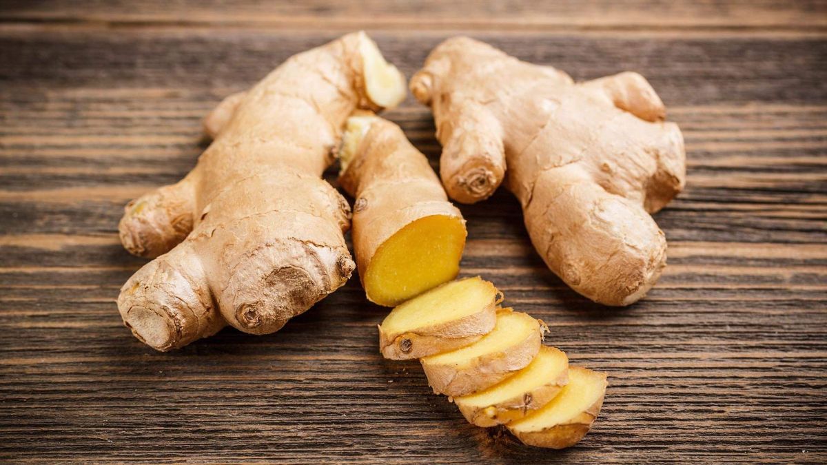 Benefits and harms of ginger — 11 medicinal properties of the root for the human body, as well as contraindications