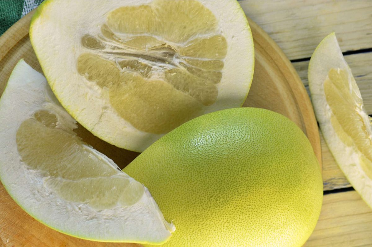 Benefits and harms of pomelo — 10 proven properties of the fruit for body health