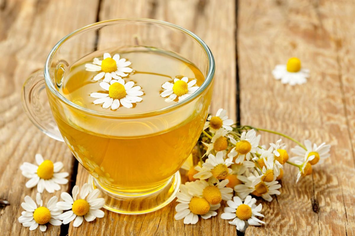 Decoction of chamomile inside — 6 facts about the benefits and harm to the human body