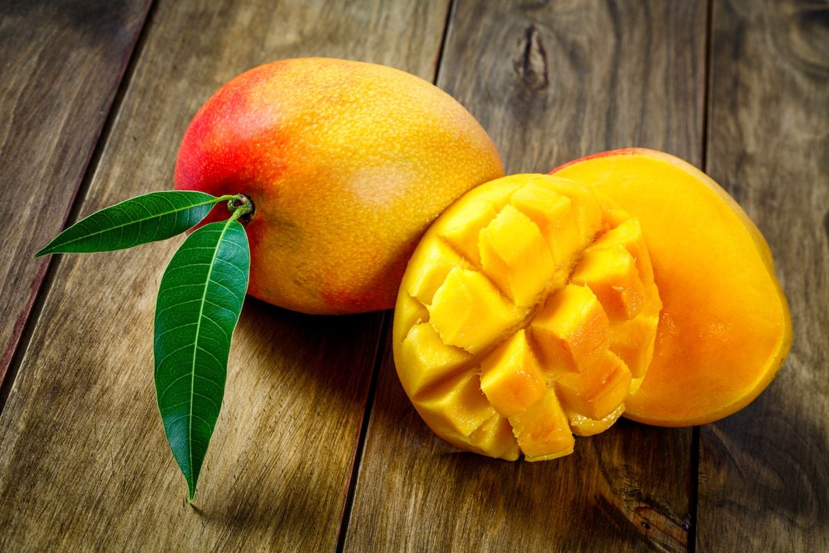 The benefits of mango — 13 scientific facts about the effect on the human body, as well as harm and contraindications