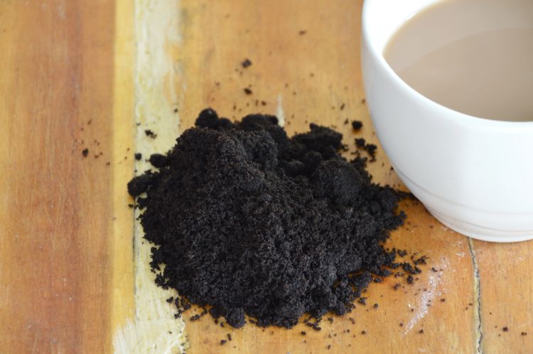 How to use coffee grounds — 10 ways to use it as a fertilizer in the garden, cosmetology, painting