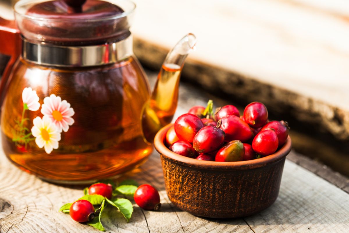 Rosehip decoction — 6 facts about the benefits and contraindications for the health of the body, as well as how to take it