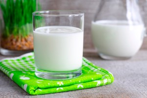 Benefits and harms of curdled milk – 7 beneficial properties for the human body, as well as comparison with kefir