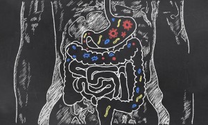 Enzymes and their role in the human body: in digestion, metabolism and metabolic processes