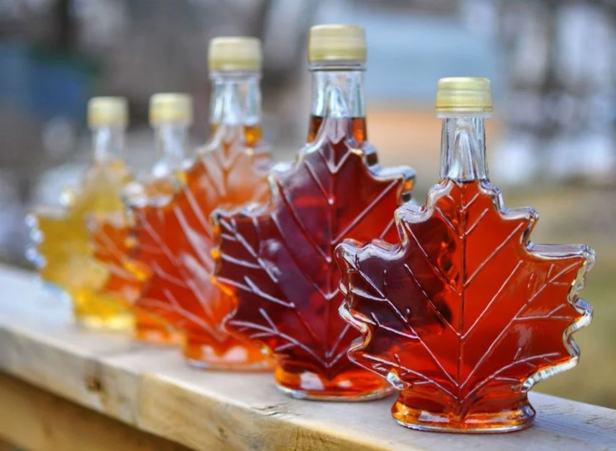 Maple juice — 5 facts about the benefits and harm to the human body, how to collect and store it