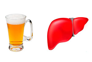 The effect of beer on the human liver: the harm and benefits of this drink, as well as whether it can cause cirrhosis and other diseases??