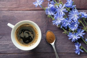 Chicory for the liver — 6 facts about the benefits and harms of instant drink, and is it possible to drink it in diseases??