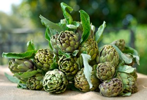 Artichoke for the liver — 9 useful properties for treatment, how to take it to clean the organ, as well as a review of drugs based on it