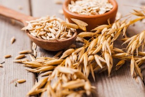 Oats for liver treatment — 5 medicinal properties and recipes on how to brew it properly and drink it for cleaning at home