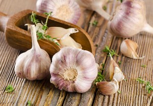 Garlic for the liver — 9 facts about the benefits and harms, and whether it is possible to eat it for the treatment of diseases of the gastrointestinal tract??