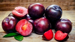 Plums for the liver — 13 facts about the benefits and harms of these fruits, can they be eaten for cirrhosis and other diseases or not??