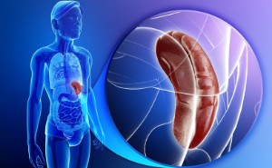 8 products for the spleen: an overview of the diet for its diseases, what is useful to eat when it is removed, enlarged or inflamed??