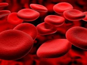 9 products that restore blood in case of loss: which of them should you eat after donation or surgery??