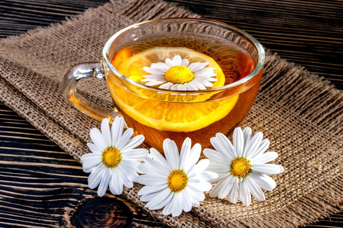 Chamomile tea — 7 facts about the benefits and harm to the body, application and contraindications