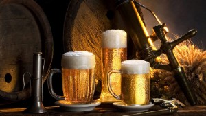 Beer is for raising white blood cells in the blood and the effect of alcohol on their level, do they increase them??