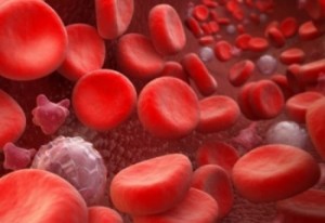 Nutrition and platelets in the blood — is it really possible to increase and decrease their level with the help of a diet??