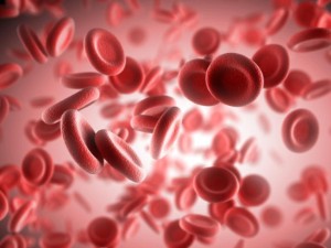 Nutrition with low platelets – 3 diet rules to increase their levels in women and men